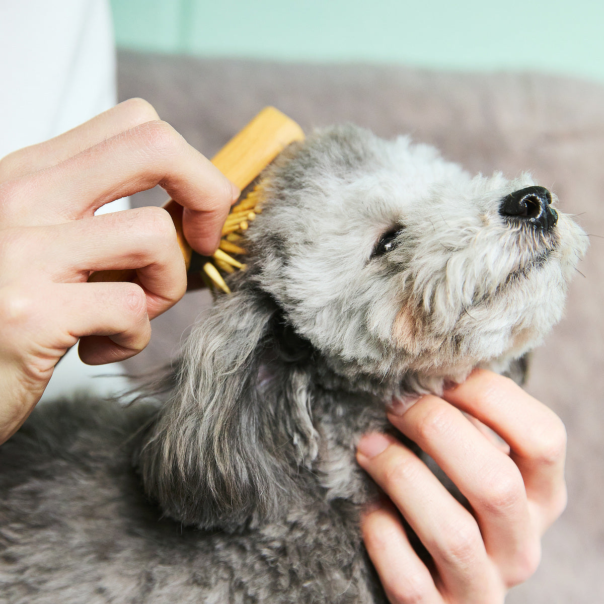 うちの子史上、最高の“うっとり顔”