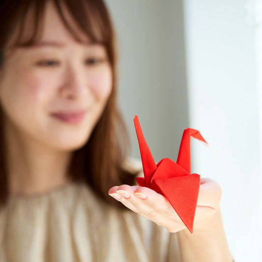 注目の的！ 形状記憶 “布オリガミ” クリーナー｜Peti Peto