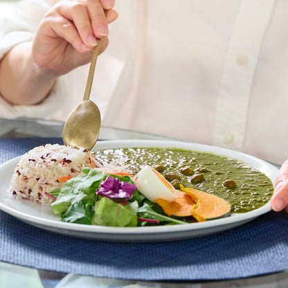 1食194kcal ヴィーガン＆グルテンフリーの「クロレラベジカレー」