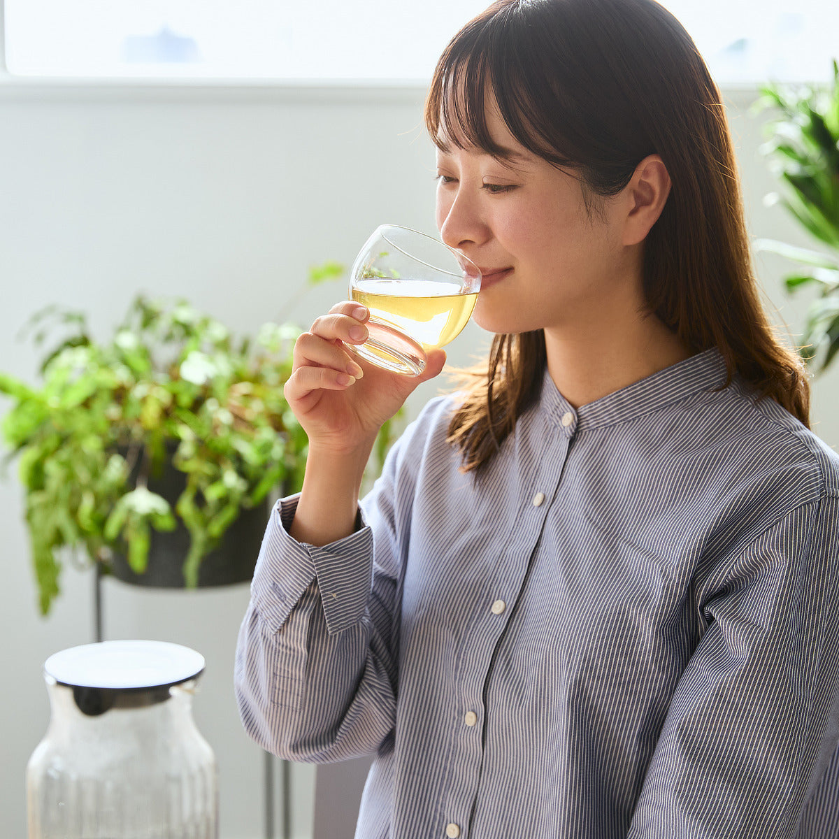 農薬不使用・ノンカフェイン健康茶「日本山人参茶」｜JIN